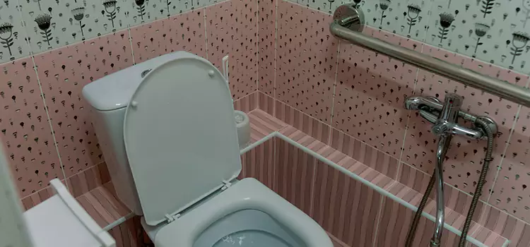 Meeting Diverse Needs With Accessible Restroom Solutions in Willowbrook, CA